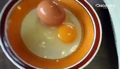 Giant Egg - You Have Been Warned, its very big