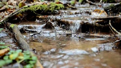 Легенда Увы