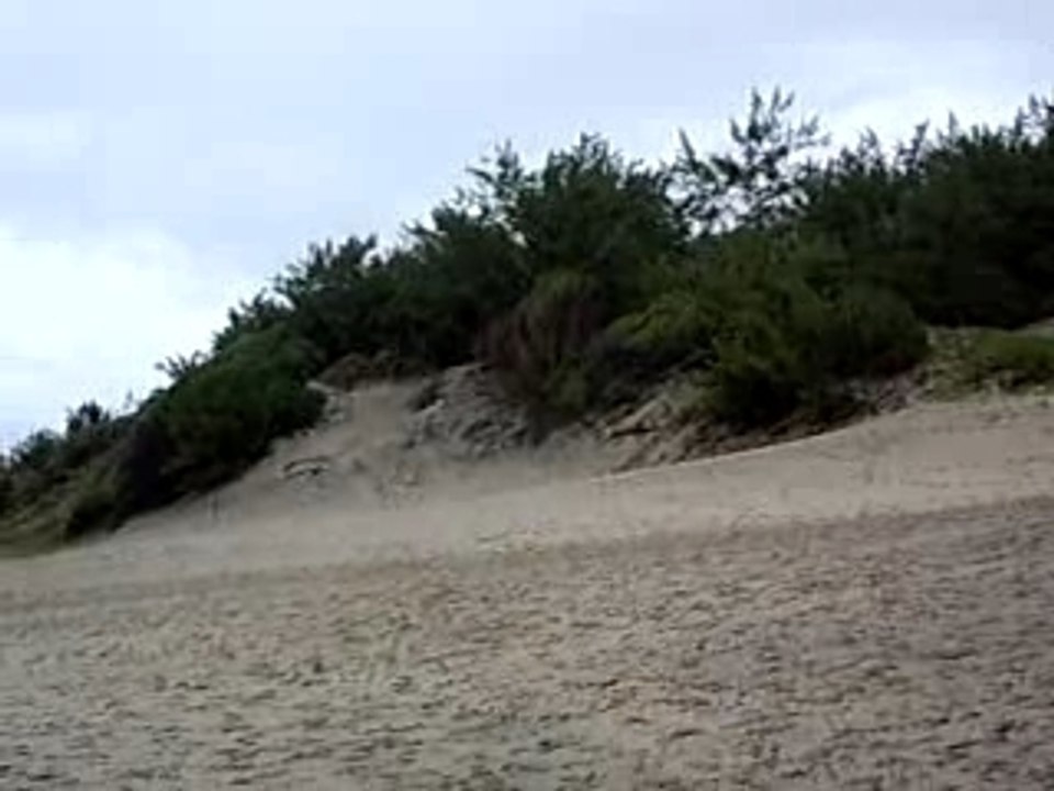 A beach in South Africa