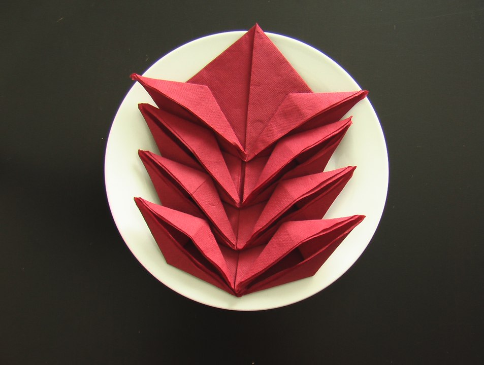 Pliage serviette vriesea