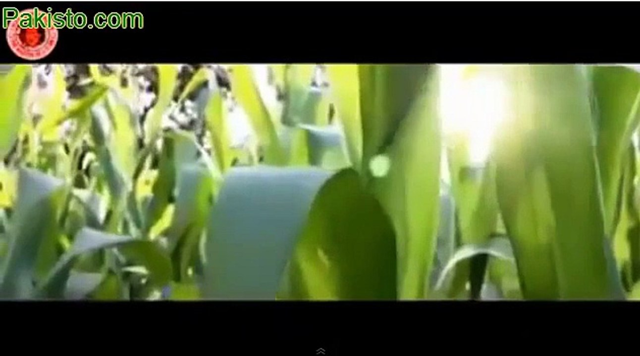Mian De Naary PML N Party Song