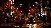 Acid Black Cherry 2011 FreeLive Full Version