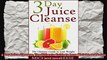 3 Day Juice Cleanse The Ultimate Guide to Lose Weight and Detox with Juices