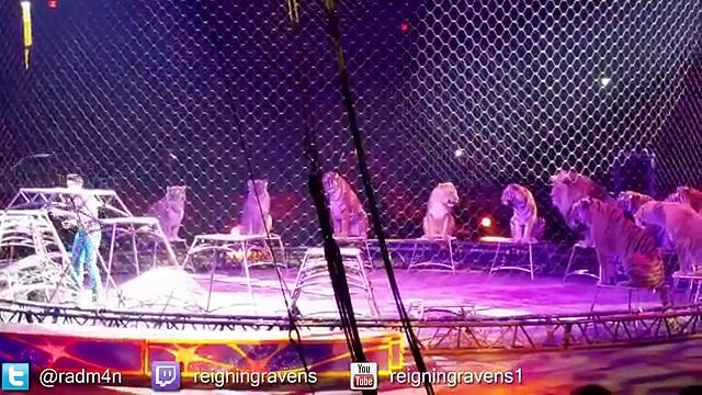 Lions and Tigers Chicago Ringling Brothers Circus