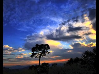 اجمل صوت ۞ عبد المجيد السريحي ۞ سورة المطففين تلاوة رائعة ما شاء الله