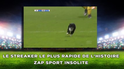 Le streaker le plus rapide de l'histoire zap sport insolite