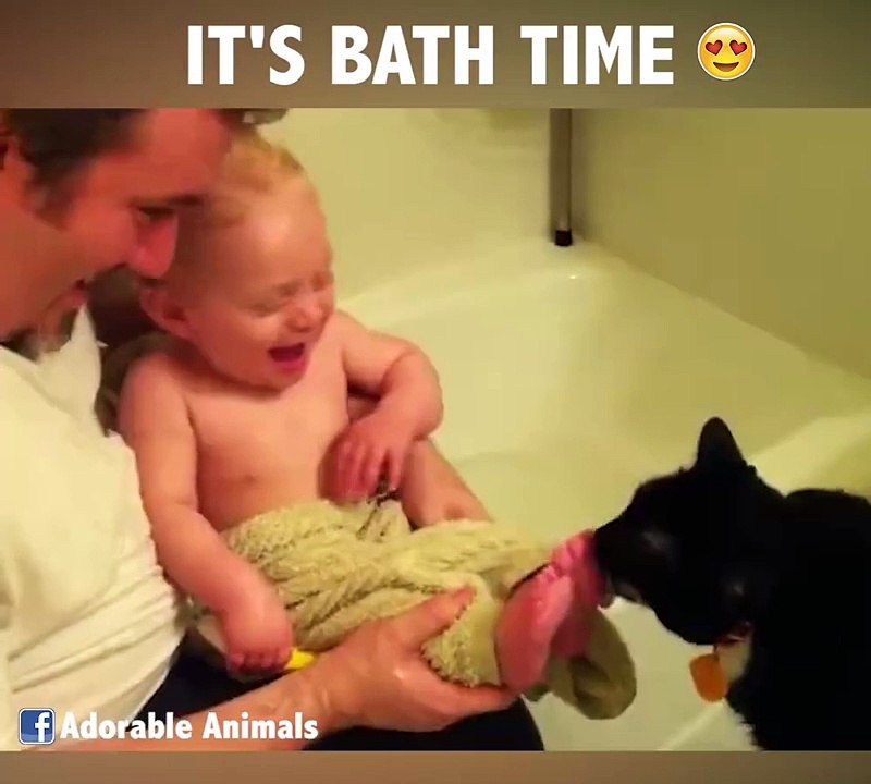 C'est l'heure du bain! Compilation d'animaux hilarants