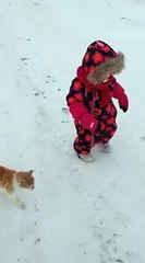 Un chat fait du catch avec une petite fille : KO!!!!!