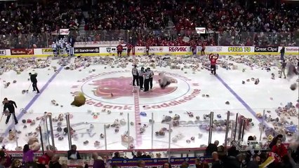 Hockey :  Près de 30 000 peluches lancées sur la glace !