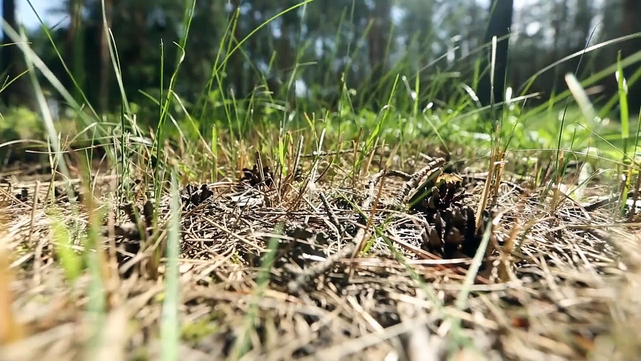 Санаторий "Красиво", Белгородская область