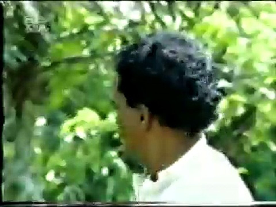 Patalevilla - 2.1