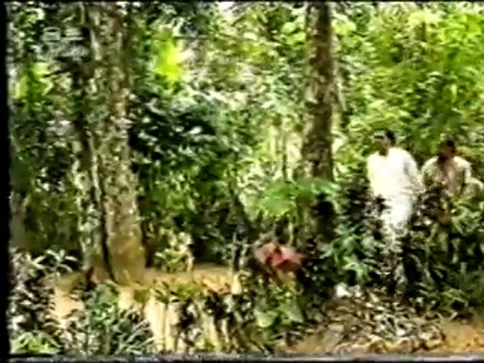 Patalevilla - 2.2