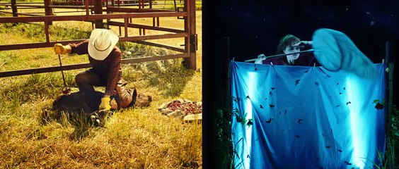 The Young and Prodigious T.S. Spivet Official Trailer #1 (2015) Helena Bonham Carter