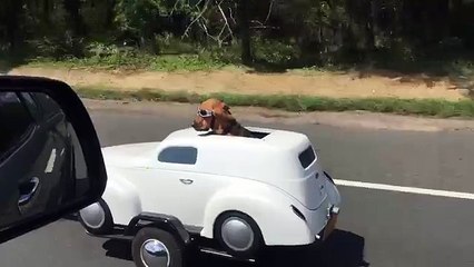 Aparentemente é um simples motociclista mas o que colocou na parte de trás da sua mota deixa todos de queixo caído!