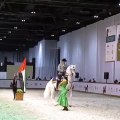 dubai horse fair with sheikh Hamdan