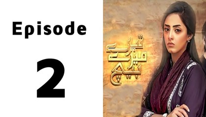 Tere Mere Beech Episode 2 Full on Hum Tv in High Quality