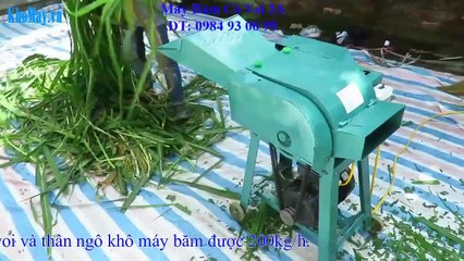 Máy Băm Cỏ Voi 3A, Máy Băm Cỏ, Máy Băm Cỏ Cho Gia Súc.