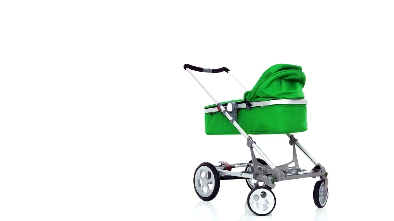 Seed - couffin Papoose