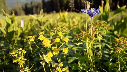Легенда Ергак, Республика Хакасия