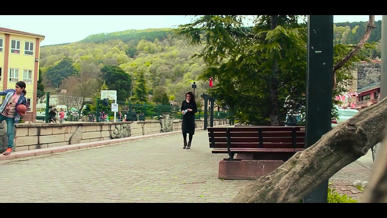 sokak hayvanları