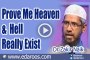 Prove Me Heaven & Hell Really Exist - Dr Zakir Naik