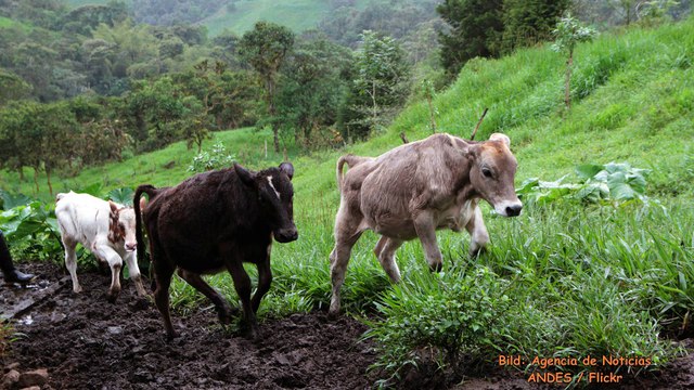 Reise TV - Ecuador – Der La Piragua-Wasserfall