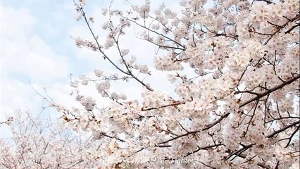 中島美嘉×加藤ミリヤ　『Fighter ミュージックビデオshort ver. 映画「アメイジング・スパイダーマン2」日本語吹替え版テーマソング』