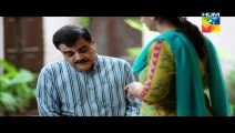 Sehra Main Safar  » Hum Tv  » Episode	2	»  25th December 2015 » Pakistani Drama Serial