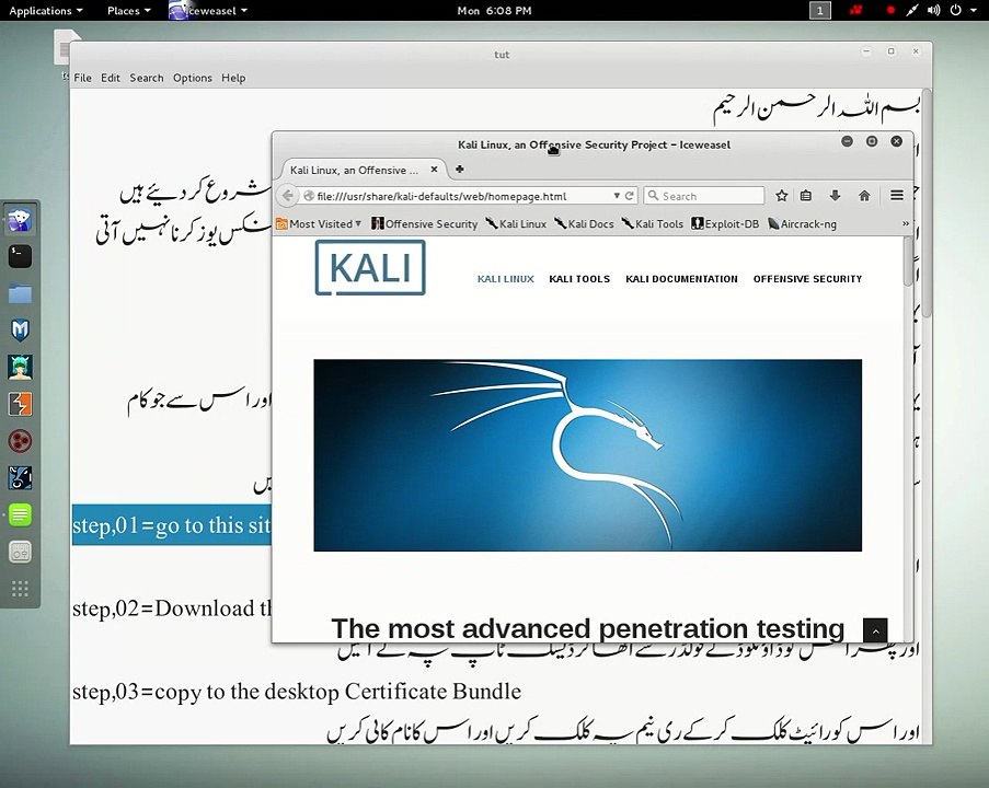 how to connect free vpn in kali linux sana 2.0