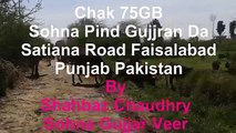 New Punjabi Video _ Village Life in Pakistan ,Chak 75 GB .Pind