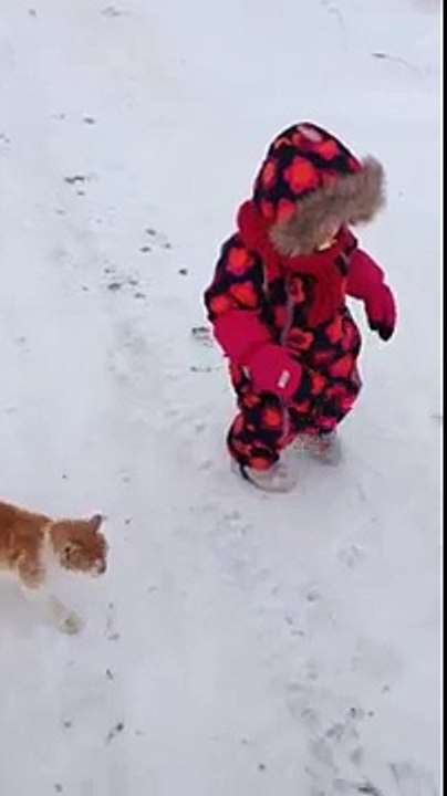 Un chat fait du catch avec une petite fille