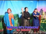Da Da Zwanai Wraze Di - Nazia Iqbal Pashto Songs 2016 - Lewanai Lare Chashman