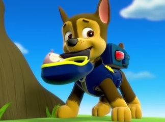 Paw Patrol Episodes Eggs Cartoon Full Games, Paw Patrol Cakes Christmas