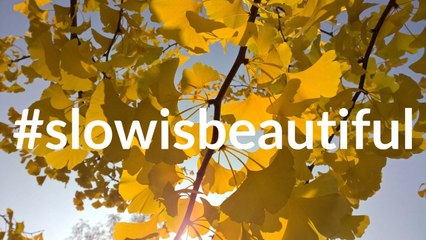 SLOW - Snails grow on trees