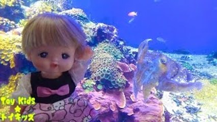 メルちゃん おもちゃアニメ カメさんやカピバラや海の生き物❤水�