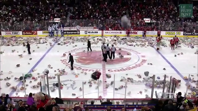A l'occasion du Teddy bear toss , les fans de hockey canadiens recouvrent la patinoire d'ours en peluche
