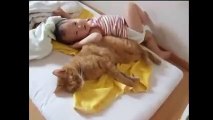 КОТ - ТЕРПИЛА ! КЛАСС КОТУ)))