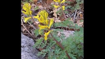 Find Yourself in the Gila Wilderness