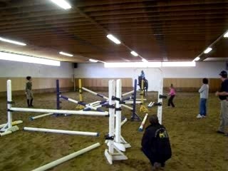 Photos chevaux Prévost 014