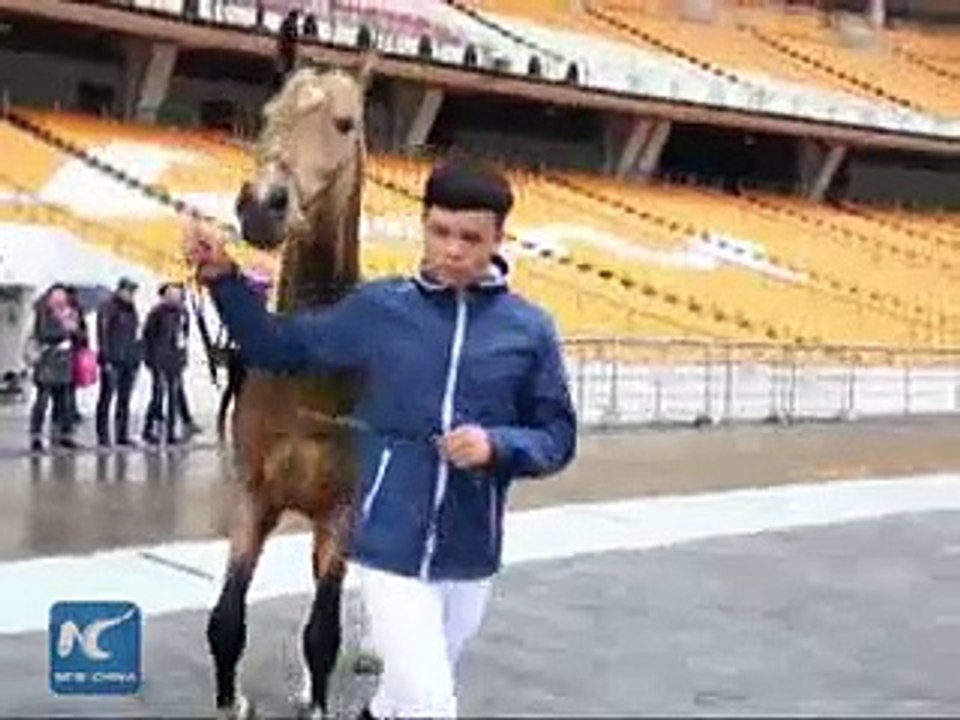 Mln-dollar Akhal-Teke horses compete in S China show 2015