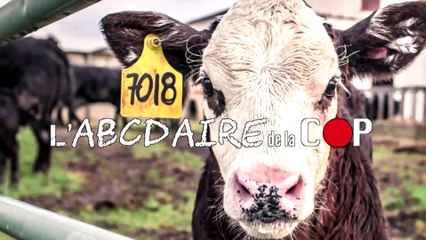 L'ABCDAIRE DE LA COP - SCIENCE FICTION