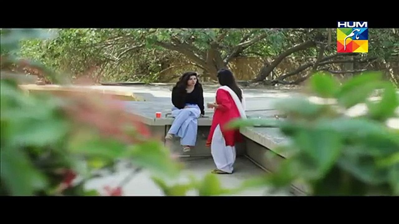 Ek Thi Misaal Episode 25 on Hum TV - 7th December 2015