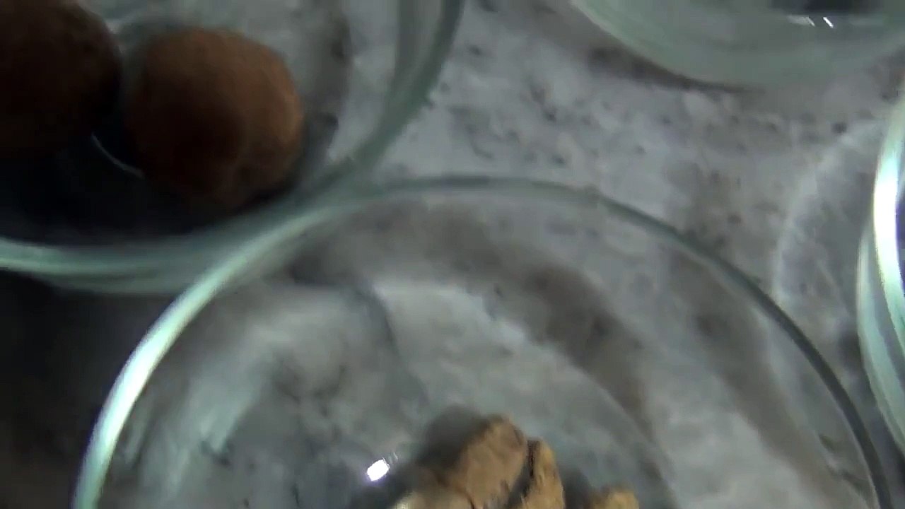 Balon Ko Lamba Aur Chamakdar Karne Wala Teal (Hair Oil) By Arshad