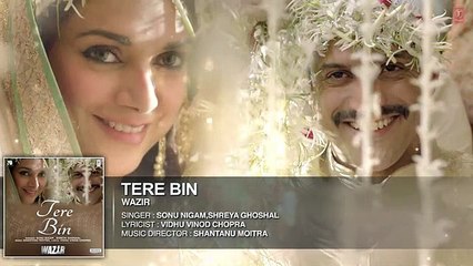 'TERE BIN' Full AUDIO song | Wazir | Farhan Akhtar, Aditi Rao Hydari | Sonu Nigam, Shreya Ghoshal