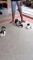 They are sooo cute