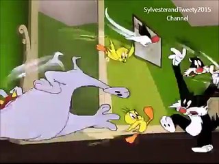 Sylvester and Tweety in BIRDS ANONYMOUS Part 3