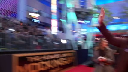 THE HUNGER GAMES : MOCKINGJAY Part 2 Los Angeles Premiere