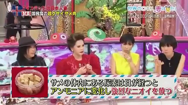 世界の日本人妻は見た！ アイスランド 2015年3月3日 150303