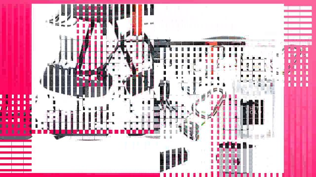 Climbing Harness Black Diamond Momentum Climbing Harness Package Graphite Large