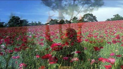 Santhosh Pandit New Malayalam Movie Song 2015 - Neelima Nalla Kutiya Aanu - Hemanda